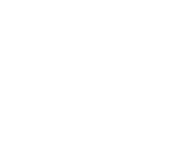 Ryz Sports Club